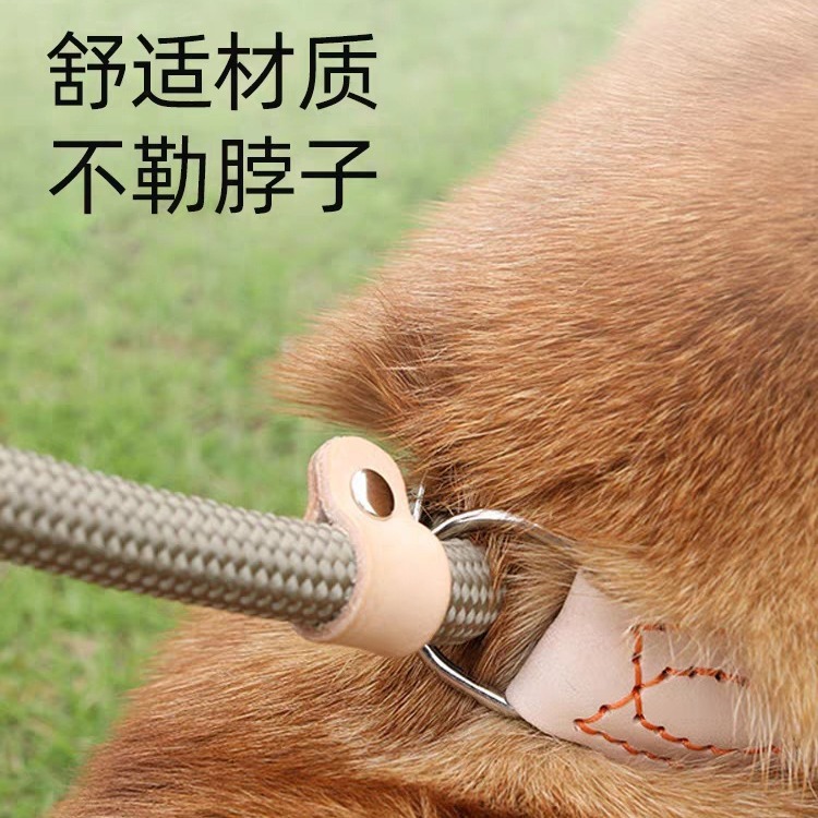 Anti-Pull P-Chain Dog Leash - No-Escape Training Lead for Large Dogs - Image 3