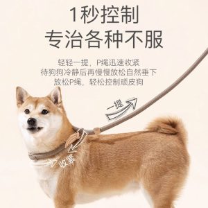 Anti-Pull P-Chain Dog Leash - No-Escape Training Lead for Large Dogs