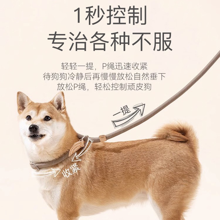 Anti-Pull P-Chain Dog Leash - No-Escape Training Lead for Large Dogs