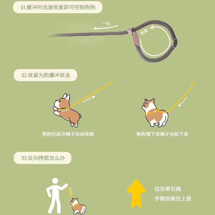 Anti-Pull P-Chain Dog Leash - No-Escape Training Lead for Large Dogs - Image 4