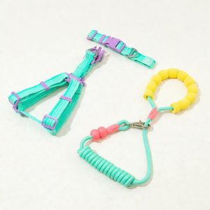 Anti-Pull P-Chain Dog Leash – No-Escape Training Lead