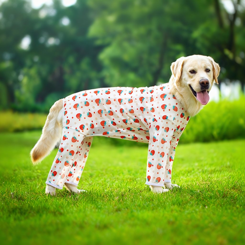 Anti-Shedding Four-Leg Dog Pajamas – Breathable Bodysu